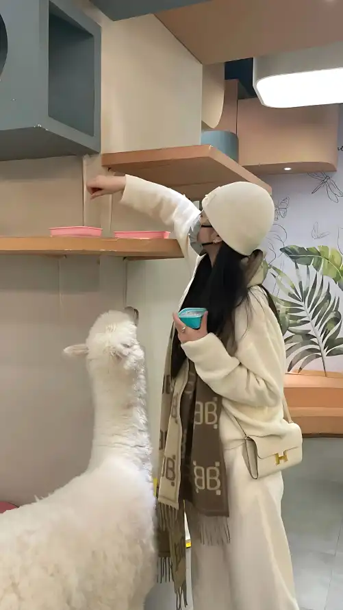 啦啦啦在线直播免费观看_ag娱乐_美女裸体无遮挡免费视频在线观看